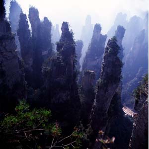 【純玩拼團線路】下午班：鳳凰古城、張家界、天子山三晚四日游