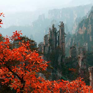 休閑自駕E線：張家界、袁家界、天子山、寶峰湖、鳳凰古城、沱江泛舟四晚五日游