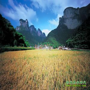 張家界往返純玩散拼：矮寨大橋、德夯苗寨、鳳凰古城、芙蓉鎮(zhèn)二日游